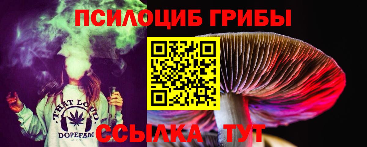 Галлюциногенные грибы MAGIC MUSHROOMS Ишим