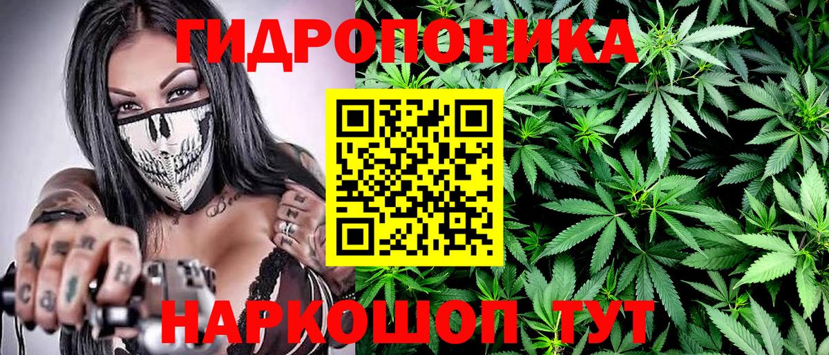 МАРИХУАНА семена Ишим